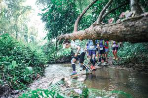 BIB: 
                            <button type="button" onclick="openModal(25455961)" class="btn btn-primary btn-sm float-right btn-popup" data-toggle="modal" data-target=".modal-high-quality">
                        <i class="fas fa-shopping-cart"></i> Add to Cart
                    </button>
                                            <button type="button" onclick="isThisMe(25455961, true)" class="btn btn-success btn-sm float-right btn-popup btn-isme hidden" data-toggle="tooltip" data-placement="bottom" title="นี่คือรูปของคุณใช่ไหม คลิกที่นี่เพื่อเอาเข้าอัลบั้ม">
                        <i class="fas fa-plus"></i> Add to album
                    </button>
                    <button type="button" onclick="isThisMe(25455961, false)" class="btn btn-warning btn-sm float-right btn-popup btn-isnotme hidden">
                        <i class="fas fa-ban"></i> Remove from album
                    </button>